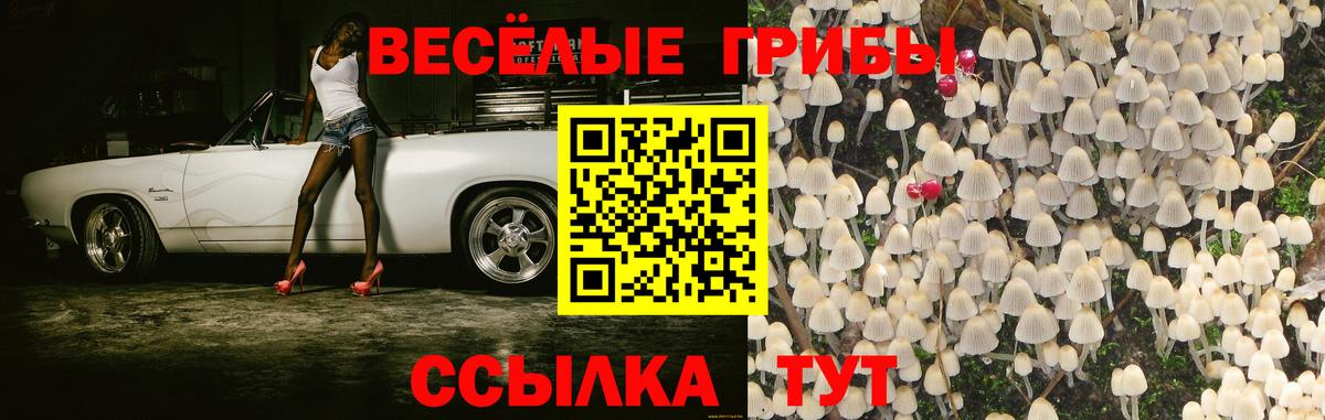 Псилоцибиновые грибы ЛСД Бахчисарай