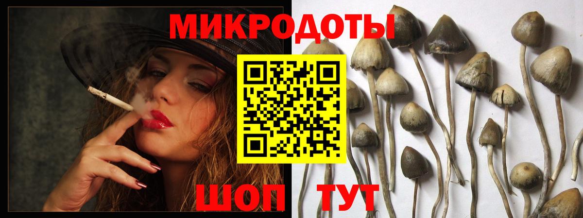 Галлюциногенные грибы GOLDEN TEACHER  Вход с VPN  Бахчисарай 